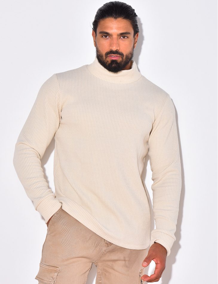 Gerippter Pullover mit Stehkragen