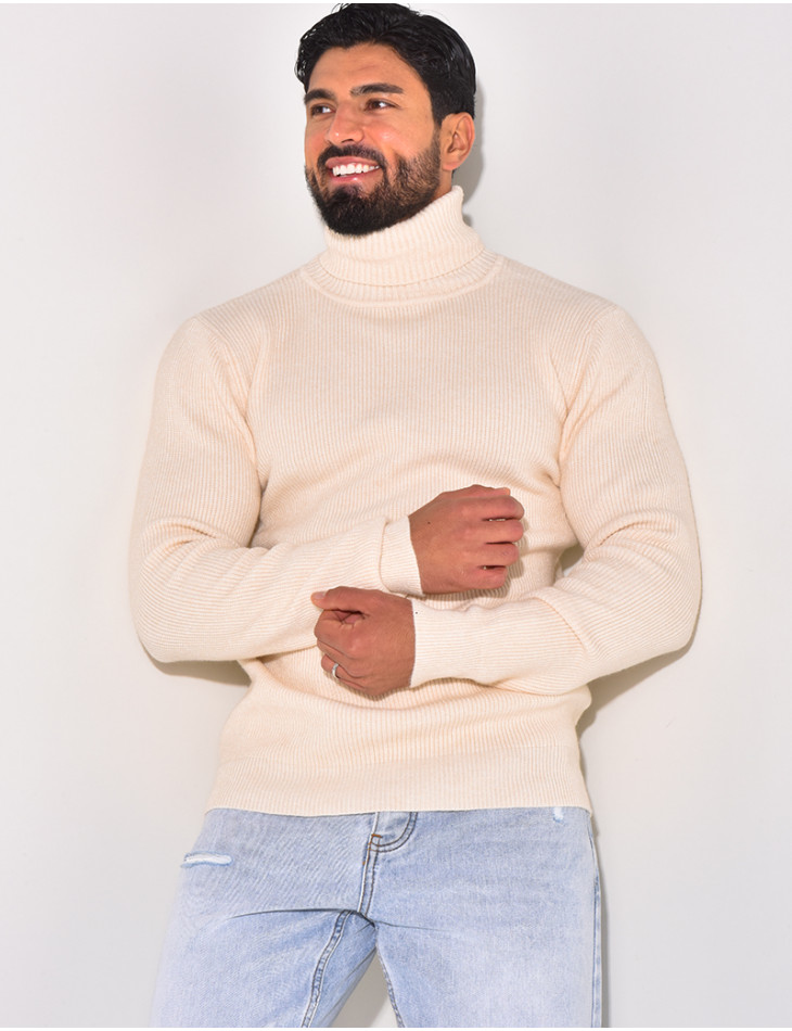 Basic-Pullover mit Rollkragen