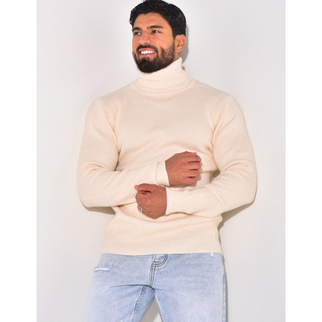 Basic-Pullover mit Rollkragen